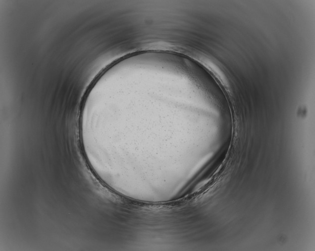 X0000090721000200708031456
