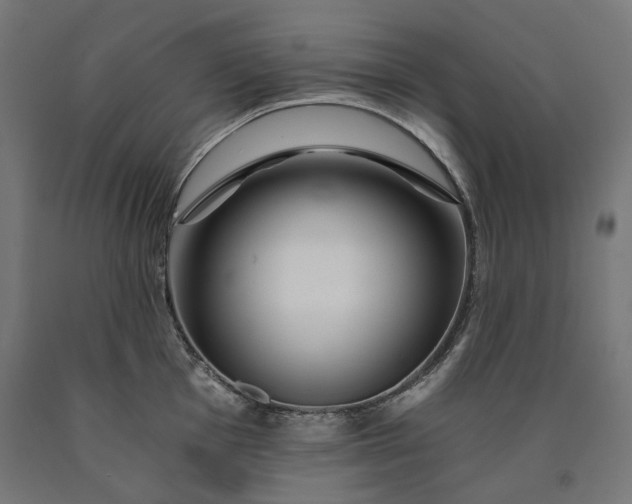 X0000090721001200708031456