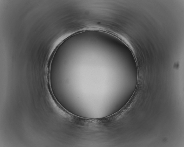 X0000090721003200708031456