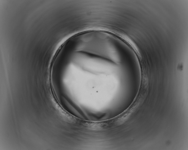 X0000090721004200708031456