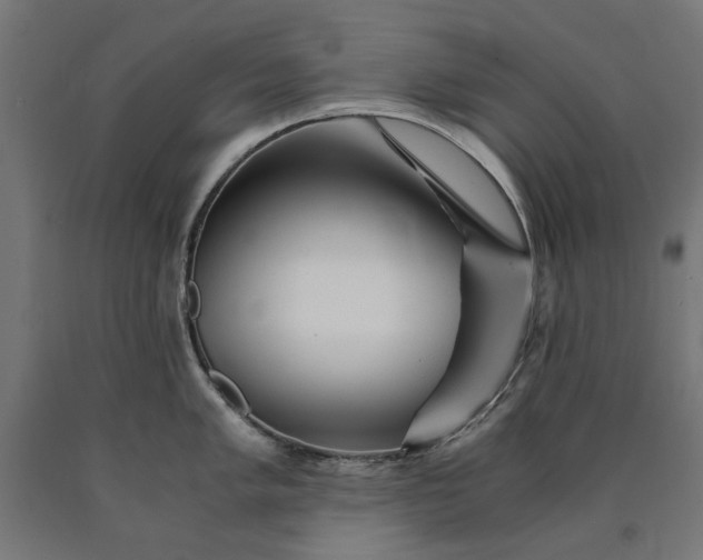 X0000090721005200708031456