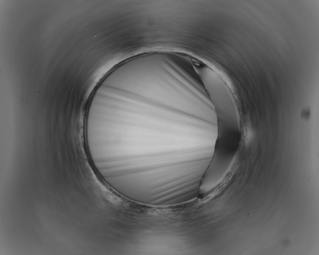 X0000090721006200708031456