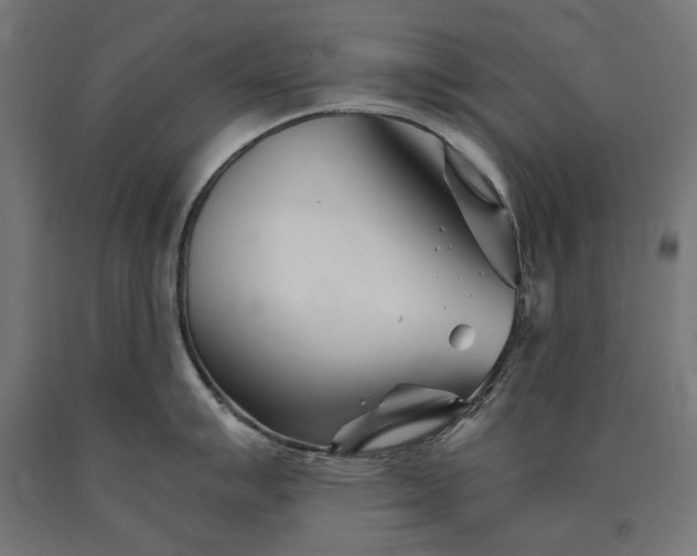 X0000090721007200708031456
