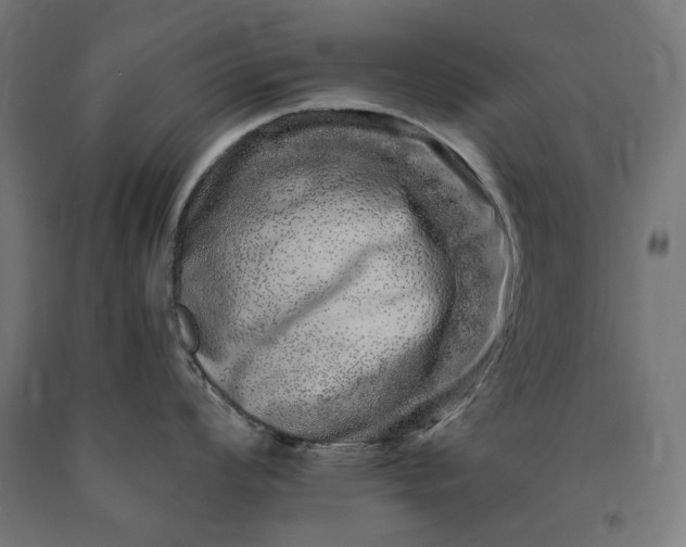 X0000090721008200708031456