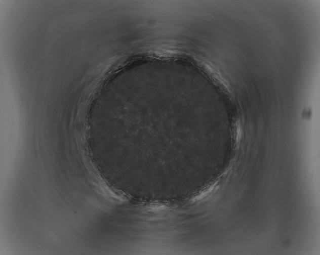 X0000090721009200708031455