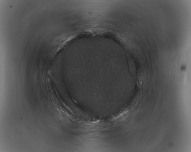 X0000090721010200708031455
