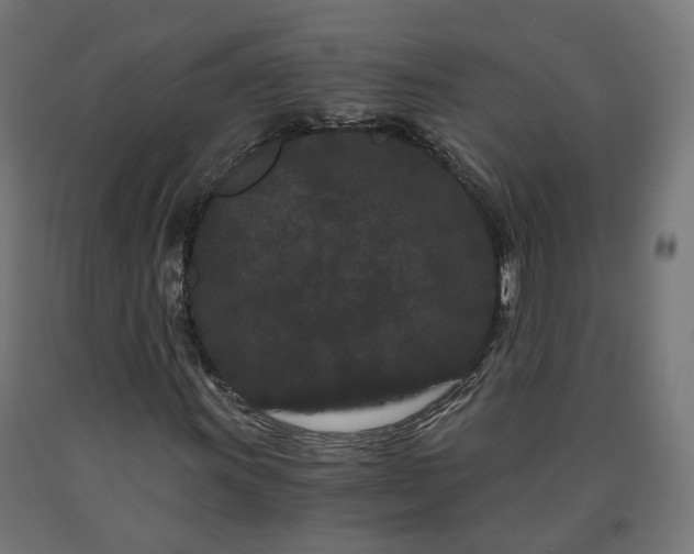 X0000090721011200708031456
