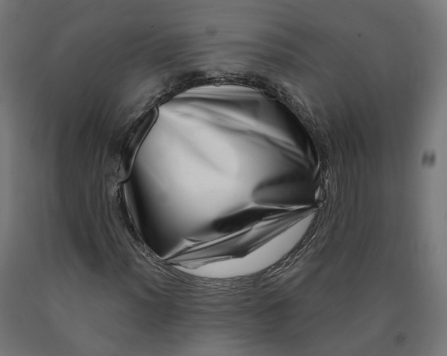 X0000090721012200708031456