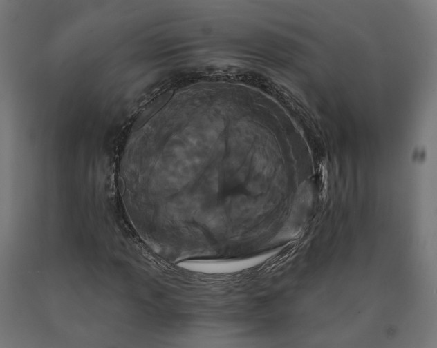 X0000090721013200708031456