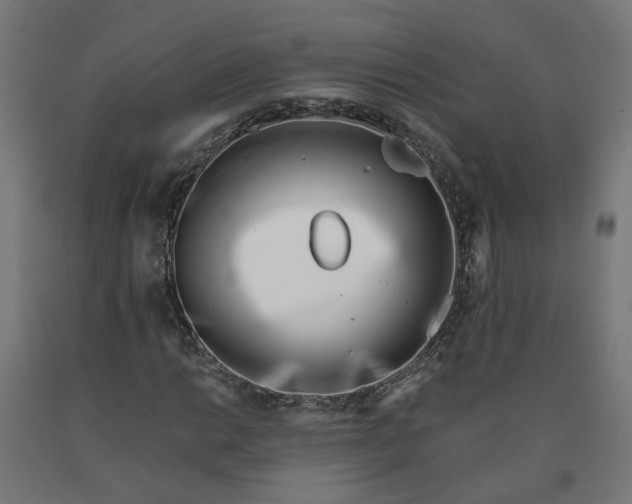 X0000090721014200708031456