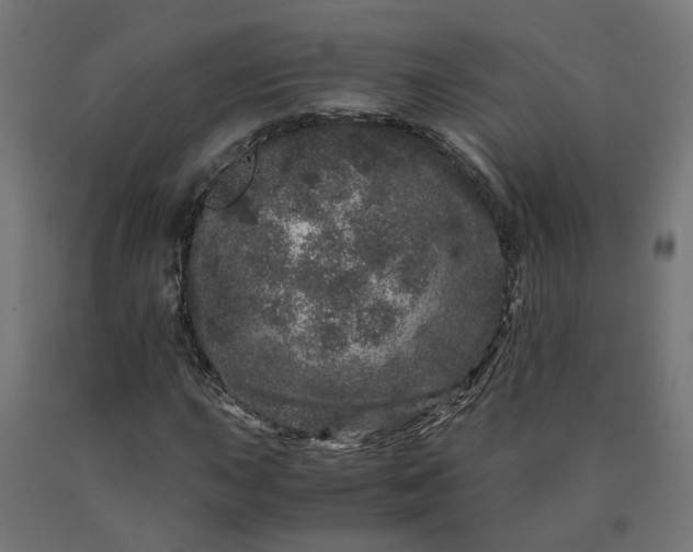 X0000090721015200708031456