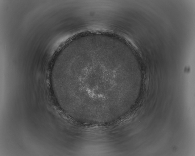 X0000090721016200708031456