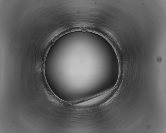X0000090721017200708031456