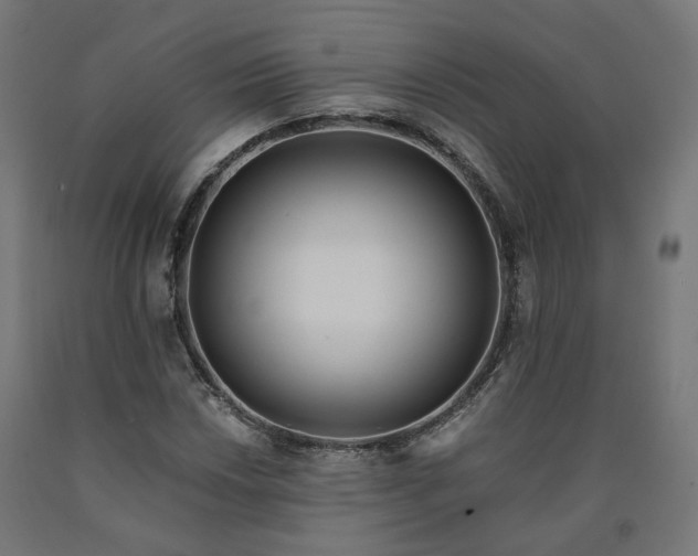 X0000090721018200708031456