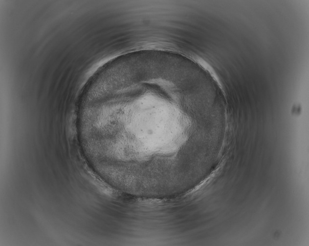 X0000090721019200708031456