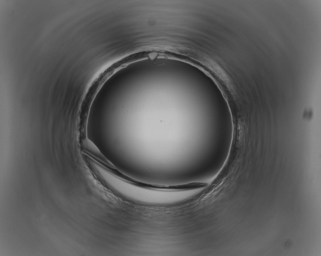 X0000090721020200708031456