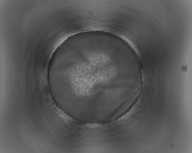 X0000090721023200708031456