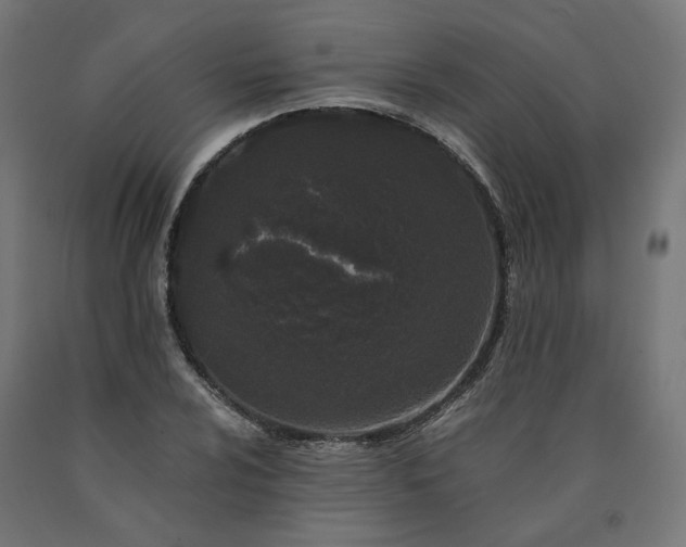 X0000090721024200708031456