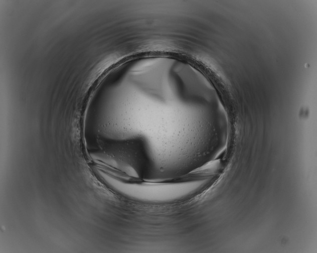 X0000090721025200708031456