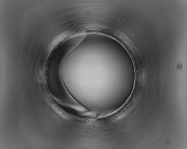 X0000090721026200708031456