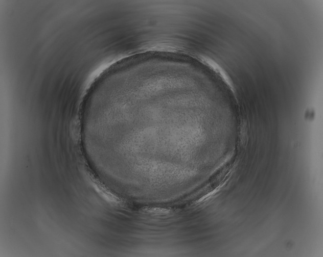 X0000090721027200708031456