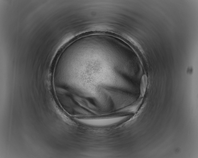 X0000090721029200708031456