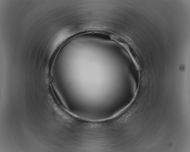 X0000090721030200708031456