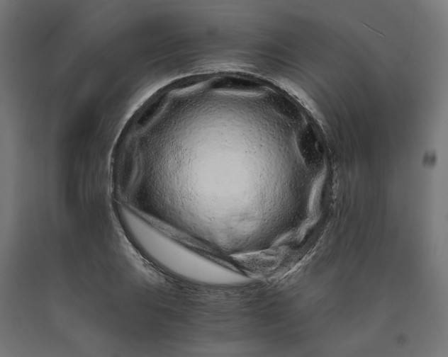 X0000090721031200708031456