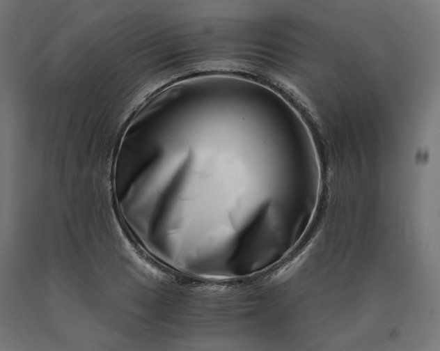 X0000090721033200708031456