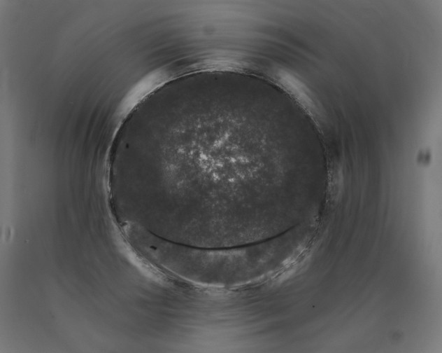 X0000090721034200708031456