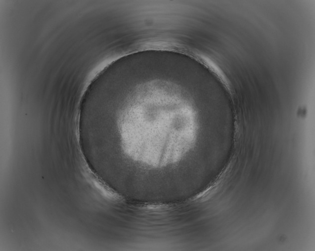 X0000090721035200708031456