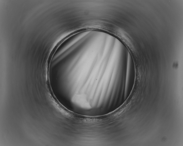 X0000090721036200708031456