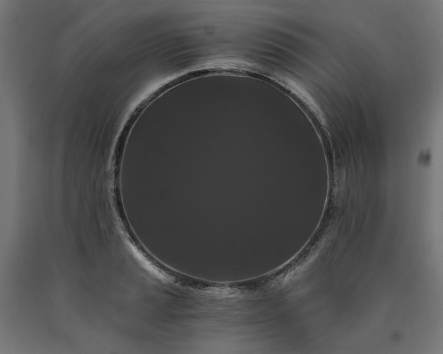 X0000090721037200708031456