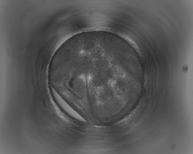 X0000090721039200708031456