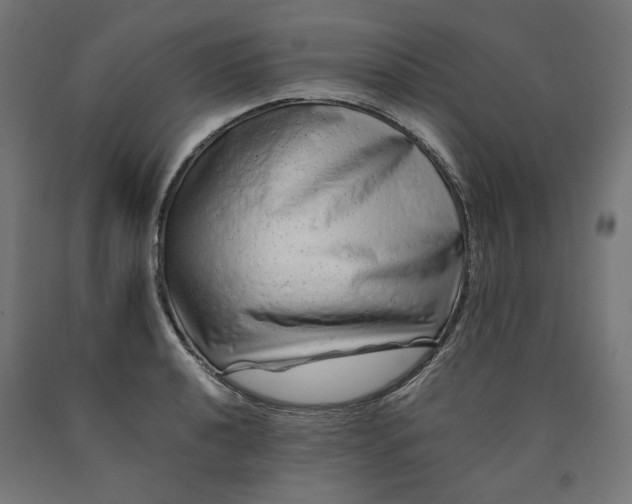 X0000090721040200708031456