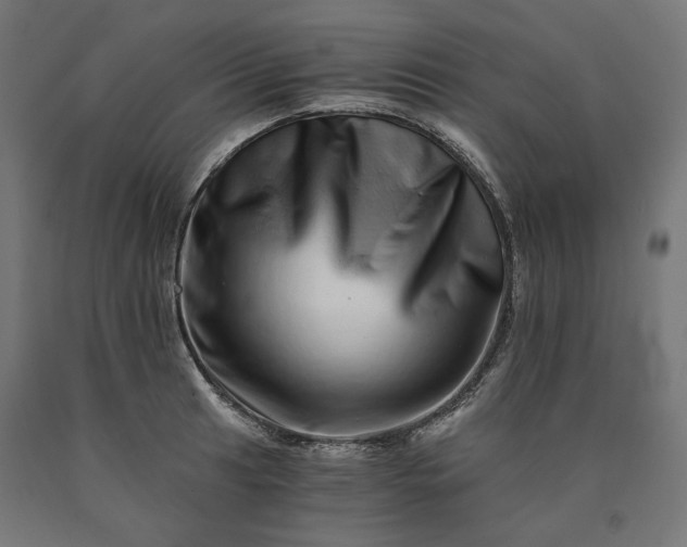 X0000090721041200708031456
