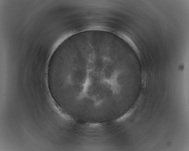X0000090721043200708031456