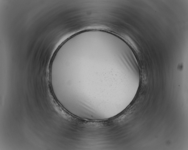 X0000090721044200708031456