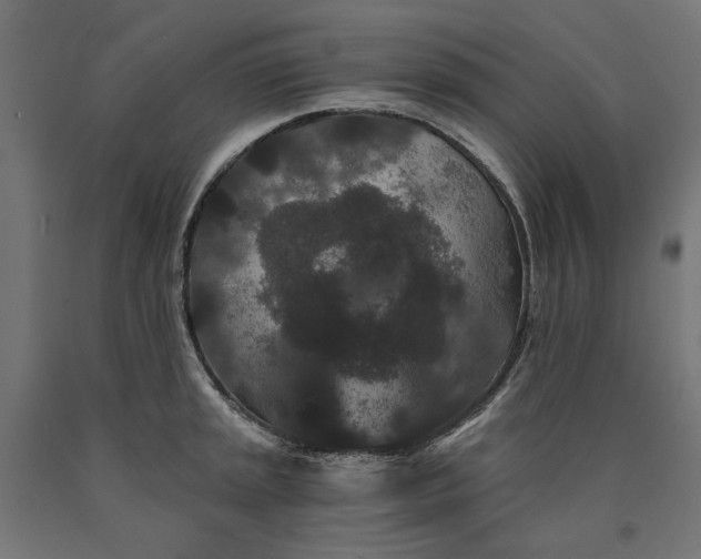 X0000090721045200708031456