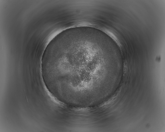 X0000090721047200708031456