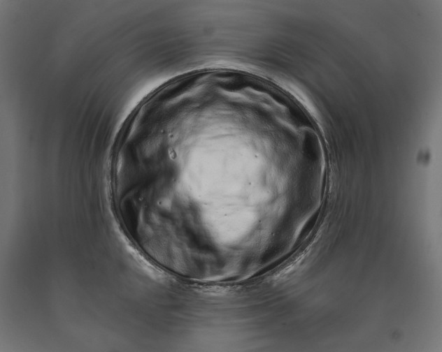 X0000090721048200708031456