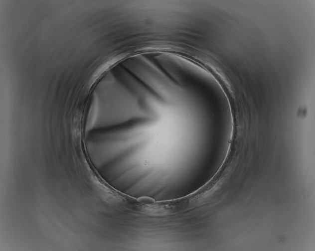 X0000090721049200708031456