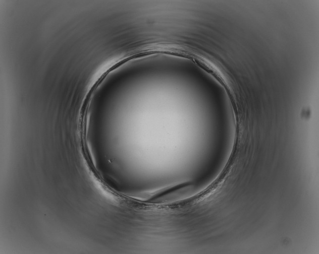 X0000090721050200708031456