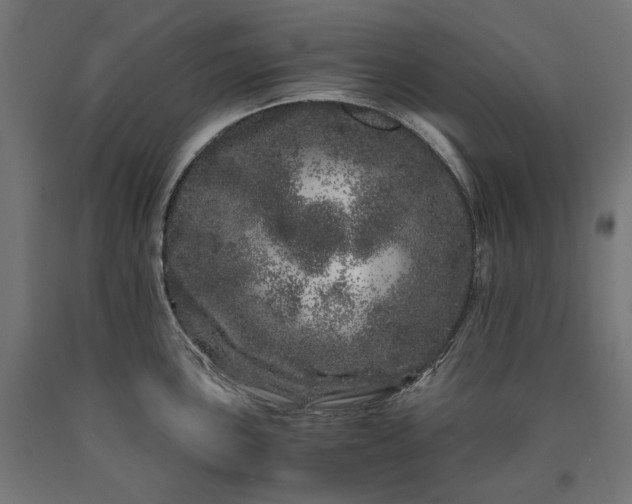 X0000090721051200708031456