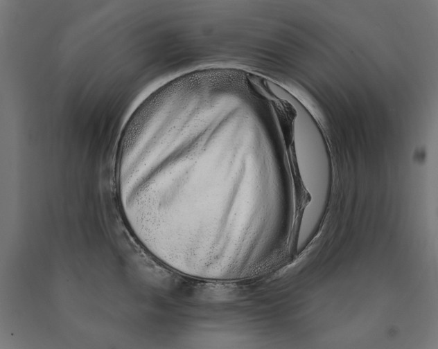 X0000090721052200708031456