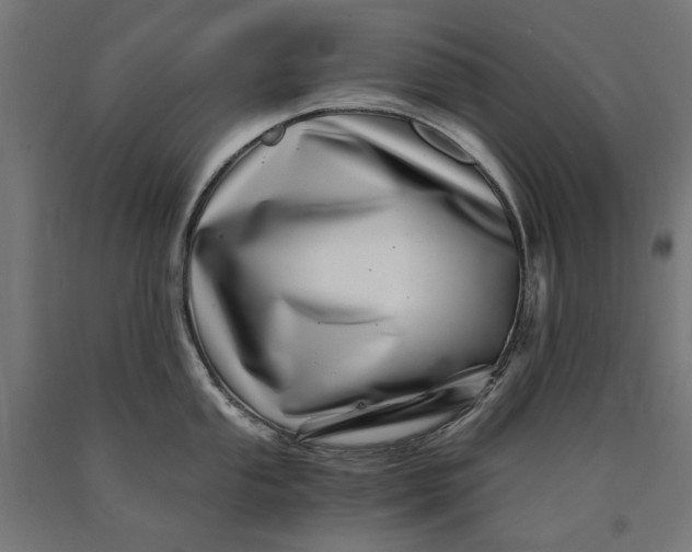X0000090721053200708031456