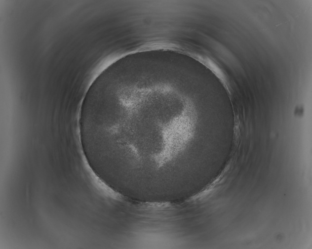 X0000090721055200708031456