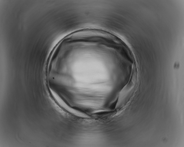 X0000090721056200708031456
