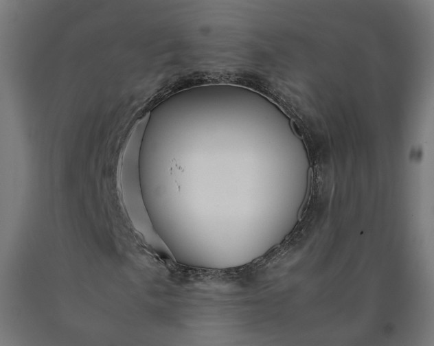 X0000090721057200708031455