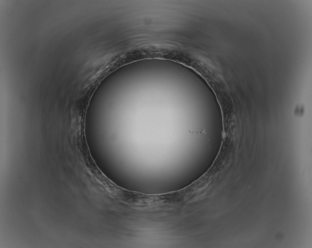 X0000090721061200708031455